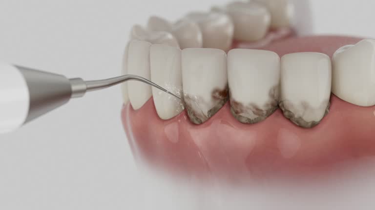 Reliable Dental contractor in Weidman, MI by Dentist Open Now